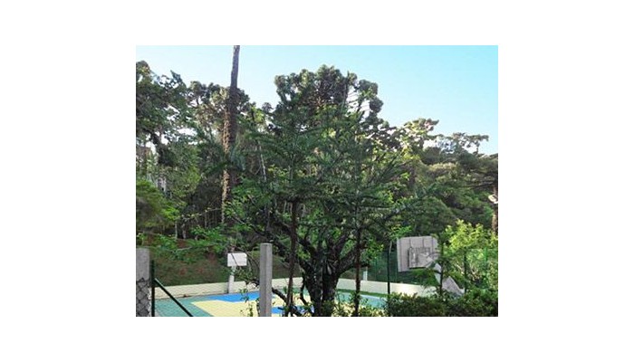 Hotel Golden Park Campos Jordao poza 11