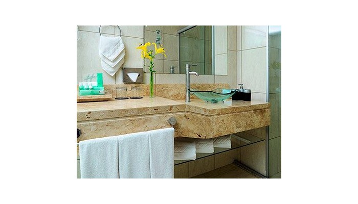 Hotel Holiday Inn Parque Anhembi Sa£o Paulo poza 3