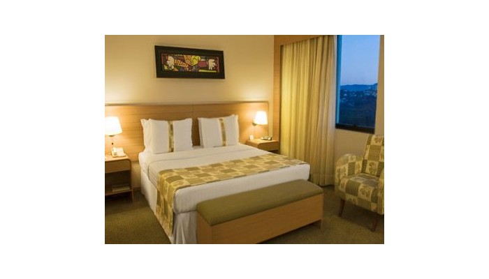 Hotel Holiday Inn Parque Anhembi Sa£o Paulo poza 1