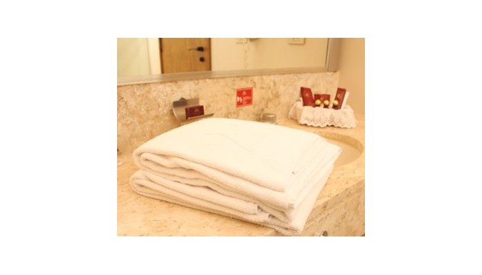 Hotel Maksoud Plaza Distributed By A poza 11