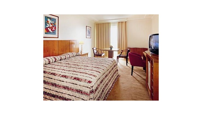 Hotel Palmleaf Grand Premium poza 6