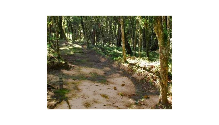 Hotel Plaza Inn Week Inn poza 6