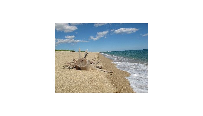 Hotel Baia Marina poza 1