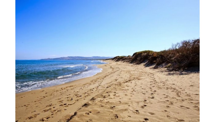 Hotel Club Del Golfo poza 0