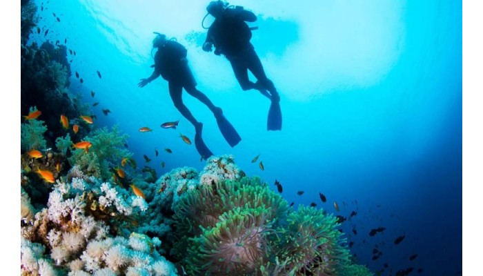 Hotel Corte Rosada poza 3