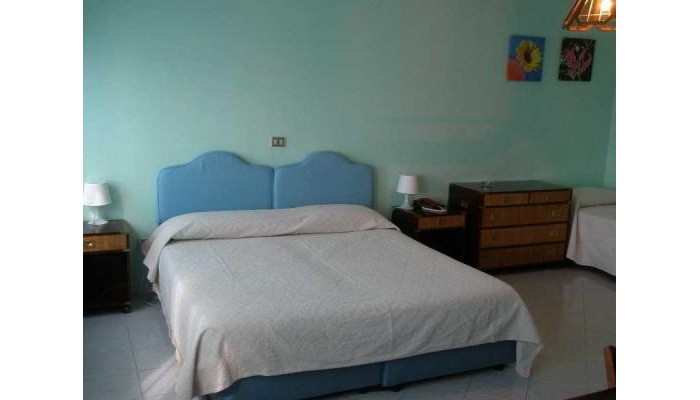 Hotel De Plam poza 9