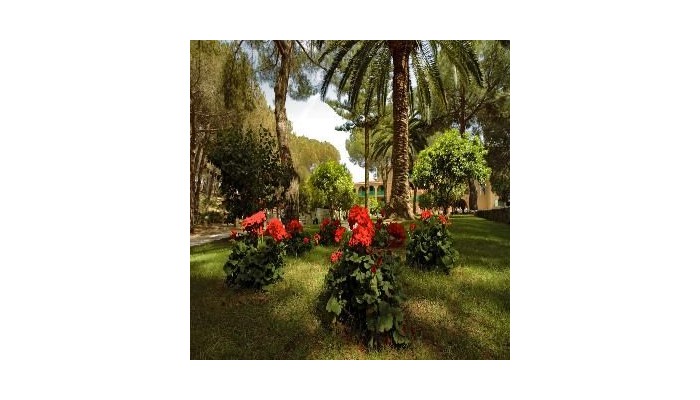 Hotel Dei Pini poza 6