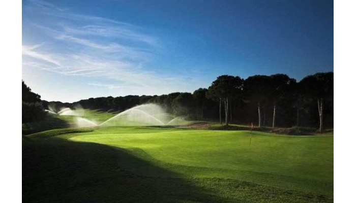 Hotel Golf Is Arenas poza 6