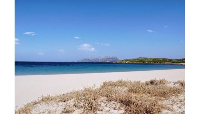 Hotel Luna Lughente poza 1