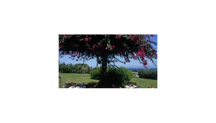 Hotel Stelle Marine poza 6