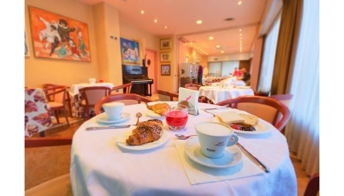 Senbhotel poza 2