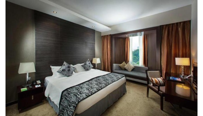 Hotel Peninsula Excelsior poza 9