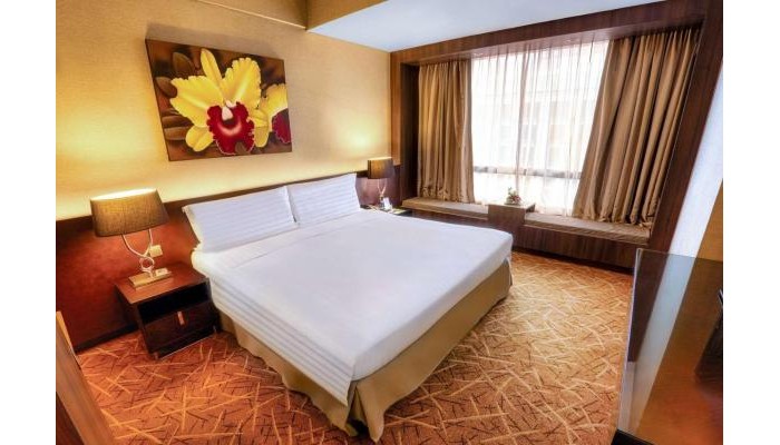 Hotel Peninsula Excelsior poza 5