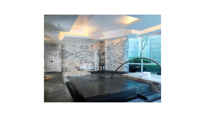 Hotel St Regis poza 7