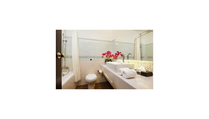 Village Hotel Albert Court poza 10