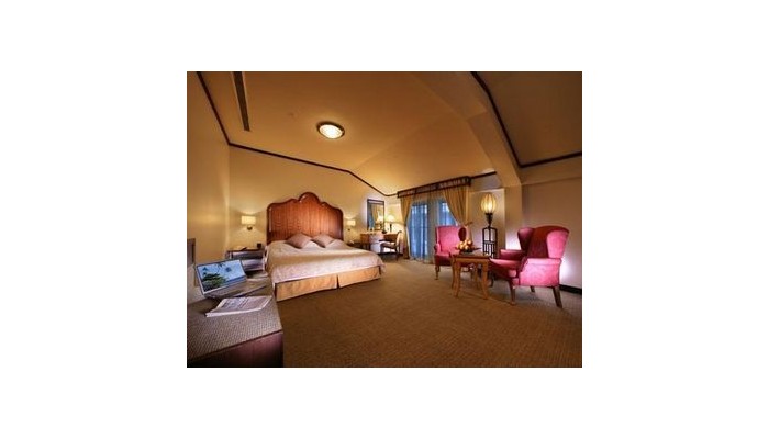 Village Hotel Albert Court poza 4