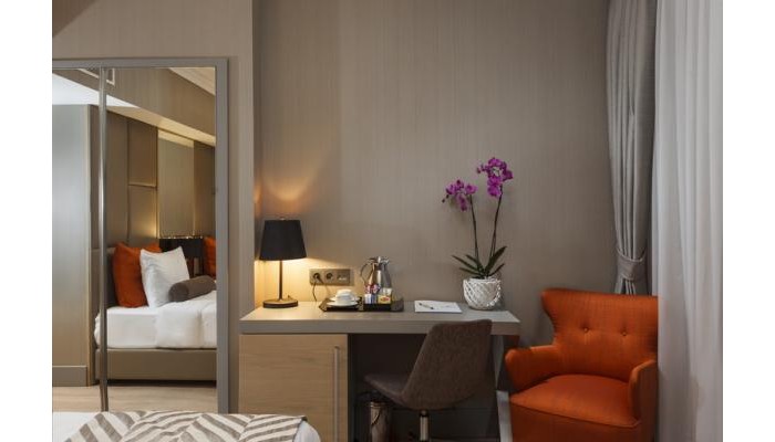 Hotel Manesol Old City Bosphorus poza 6