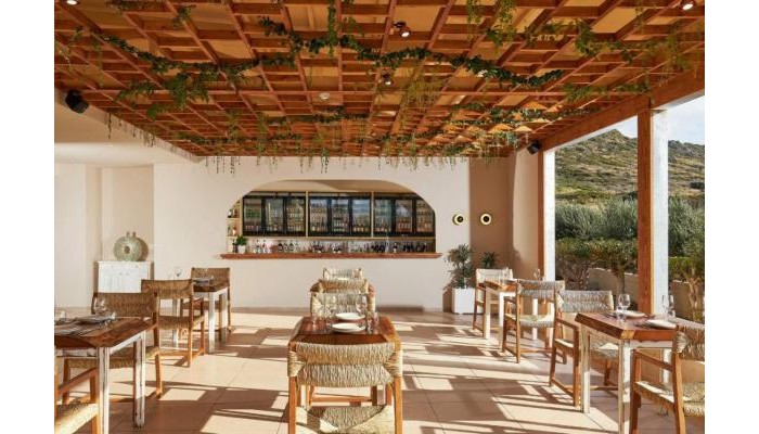 Hotel Vasia Sea Retreat poza 17