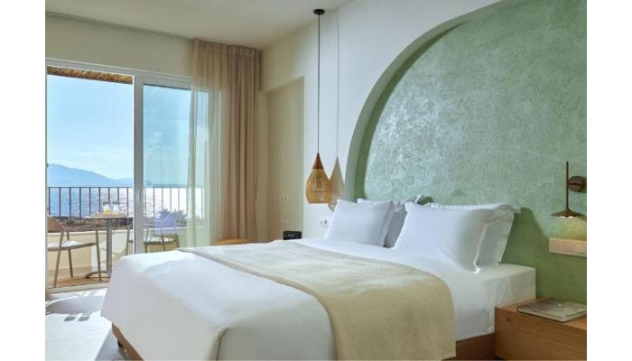 Hotel Vasia Sea Retreat poza 11