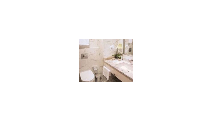 Bade Hotel poza 7