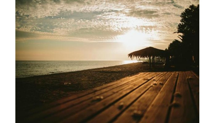 Hotel Zonita Guest House poza 6