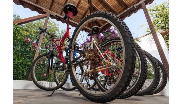 Hotel Thea Home poza 3