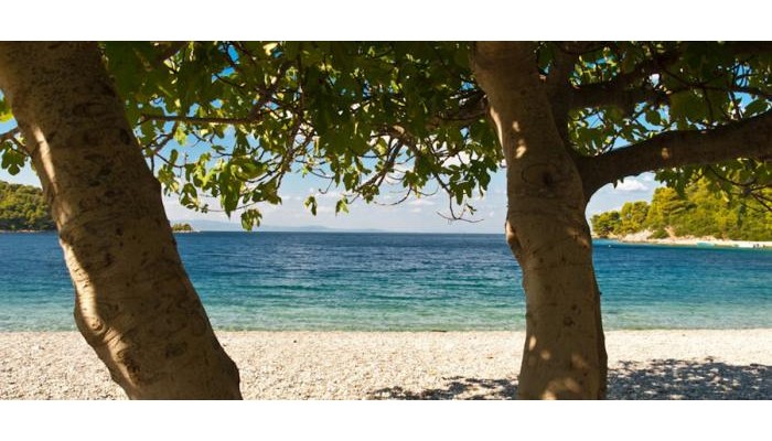 Skopelos Holidays Hotel & Spa poza 1