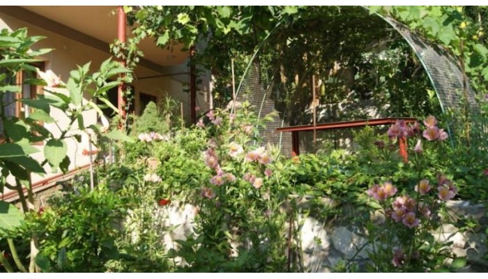 Argo Hotel poza 10