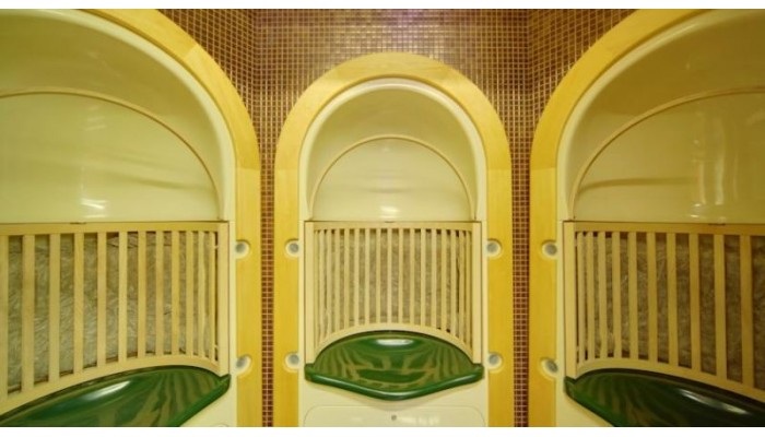 Hotel Russian Seasons poza 3