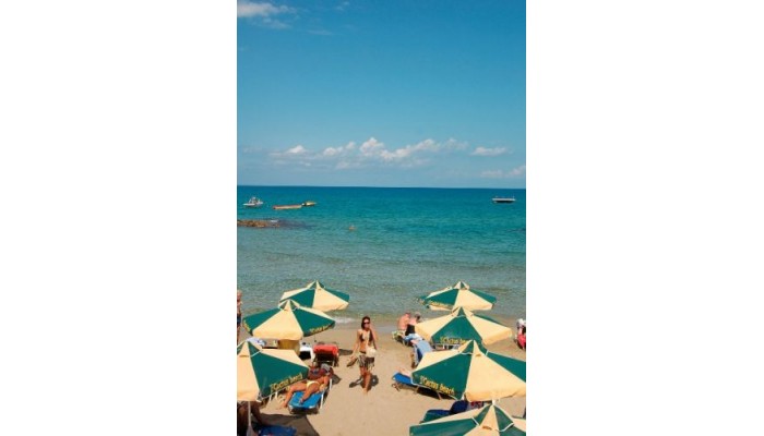 Cactus Village poza 0