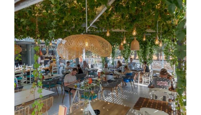 Hotel Camelot Royal Beds poza 24