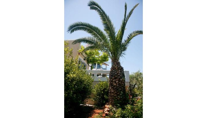 Artemis Village Apartments & Studios poza 1