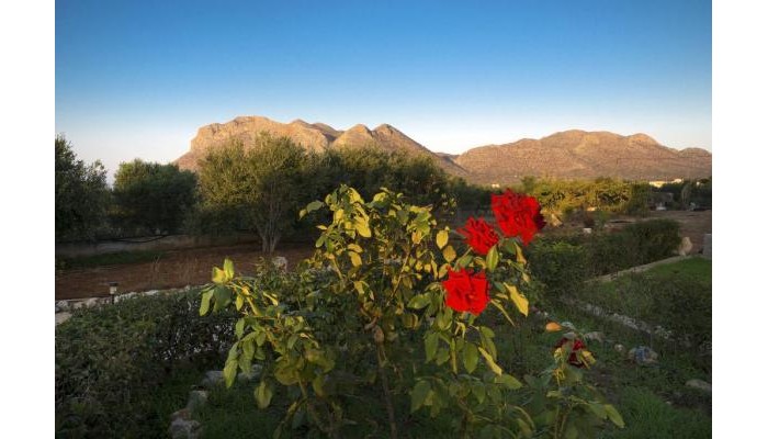 Skamagkas G. Apartments poza 4