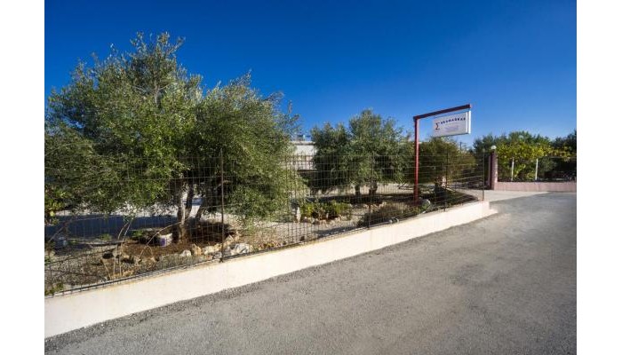 Skamagkas G. Apartments poza 7