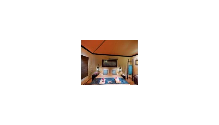 Hotel Desert Nights Camp poza 2