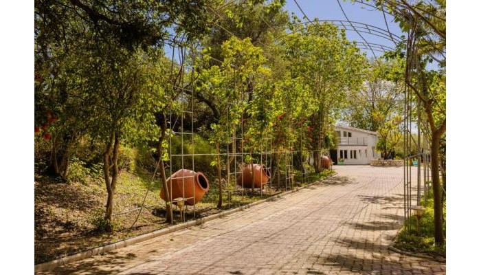 Hotel Costa Avithos poza 2