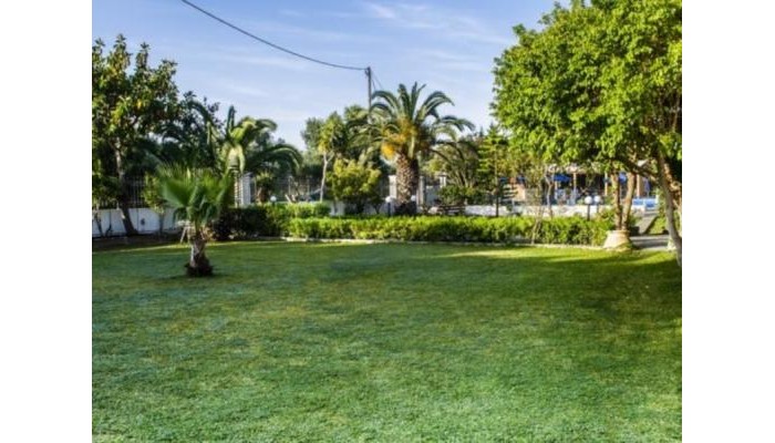 Poza pentru Hotel Olive Grove 5164-1548311649 Hotel Olive Grove poza 8