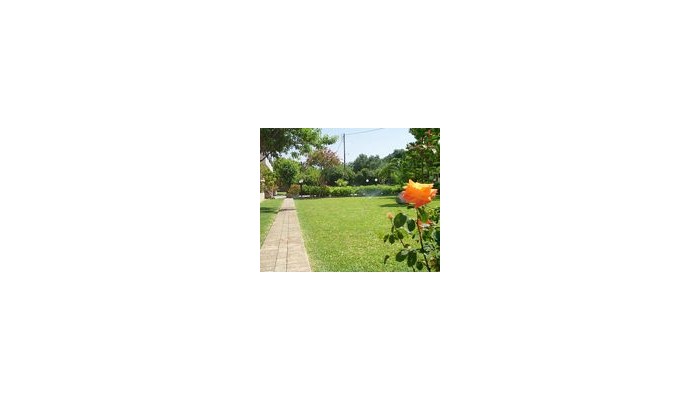 Poza pentru Hotel Olive Grove 974-1454448100 Hotel Olive Grove poza 2