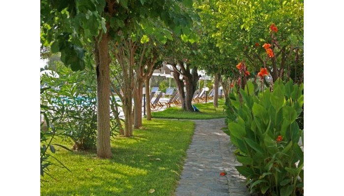 Poza pentru Pythos Studios 7470-1553021646 Pythos Studios poza 2