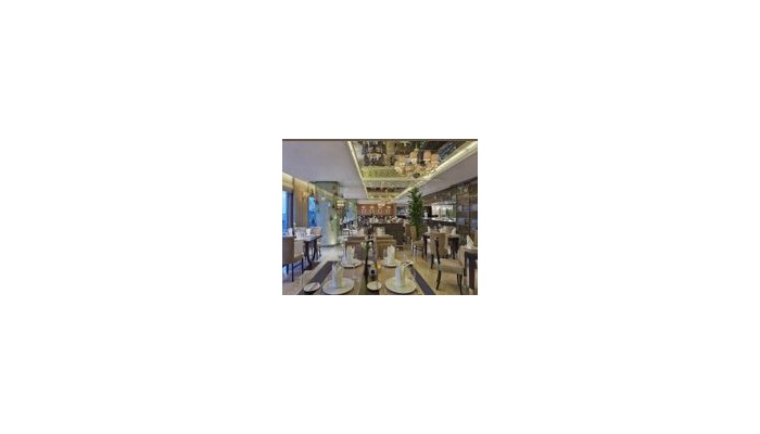 Cvk Hotels And Resort Park Bosphorus Istanbul Hotel poza 9