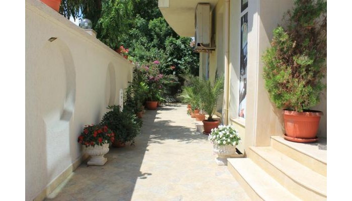 Hotel Stela Guest House poza 8