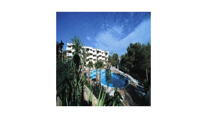 Festival Village poza 4