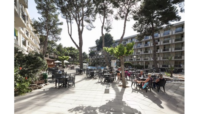 Hotel Best Sol D'or poza 6