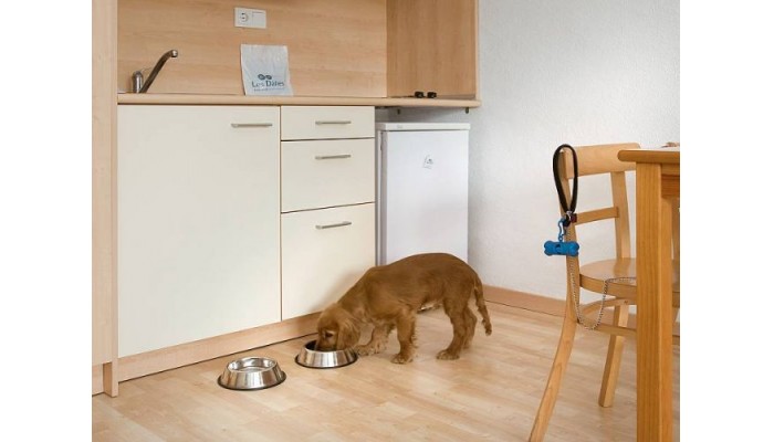 Hotel Les Dalies poza 11