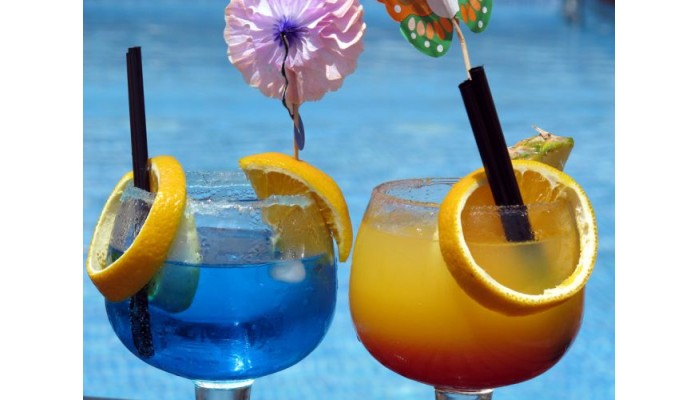 Hotel Les Oliveres poza 2