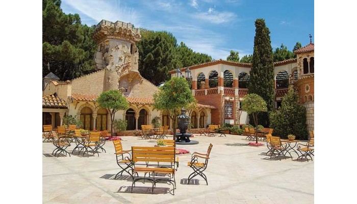 Hotel Termes Montbrio poza 8