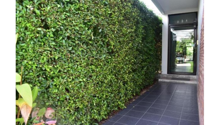 Isayarada Apartment poza 0