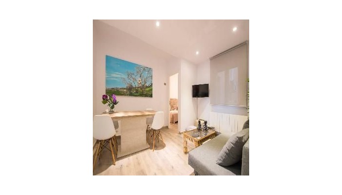 Callejon Del Pozo Iv Apartments poza 2