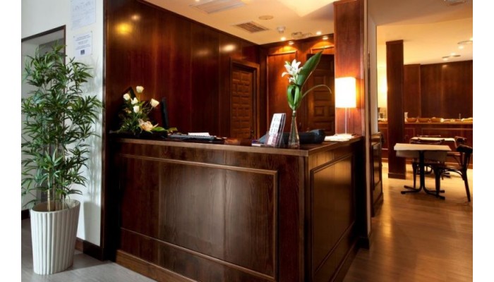 Hotel Toledo Imperial - Toledo poza 1