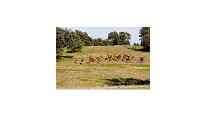 Hotel Valdepalacios poza 4